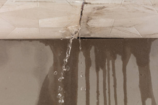 Professional Sewage Cleanup technician working in Maple Grove, MN